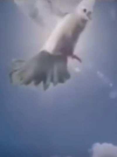 The way my jaw dropped