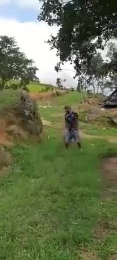 Here comes the sheep