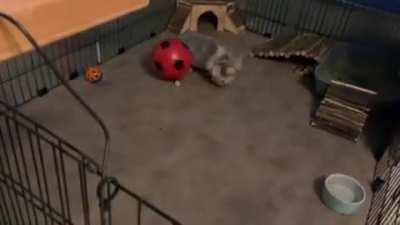 Luna is an aspiring soccer player