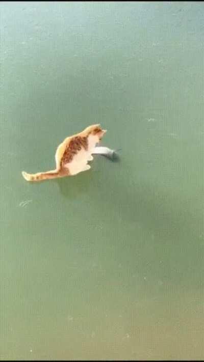 I can almost TASTE it.... DAMMIT!!!