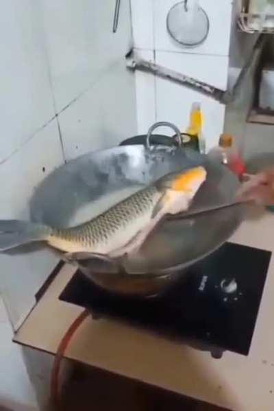 shitposting daily because I am incredibly bored (#298)