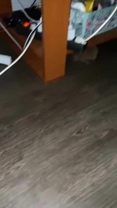 *tap* *tap* *tap* *tap* *tap* *tap* *tap* (not OC)