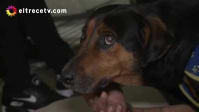 Exportamos contenido de calidad