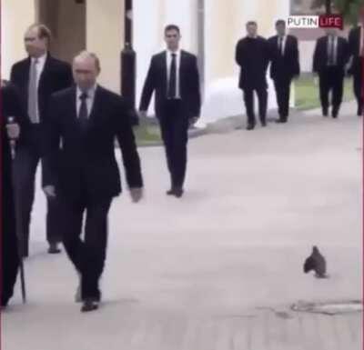 Wait did that bird just...