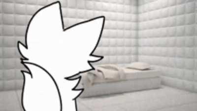 THE bOYKiSSER HAD TO MUCH CAFFEINE