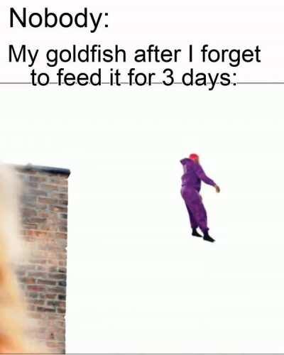 F in the chat for Mr Fish