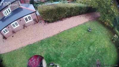 Diet diet diet diet diet diet diet diet diet diet diet diet diet diets diet diet diets diet 