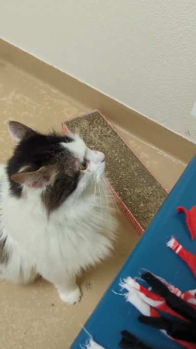 I shouldn't have laughed 😭