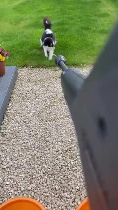 Leonidas’s water tapping makes me laugh every time