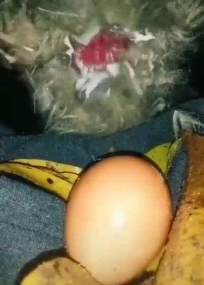 Нет, точно надо открывать рубрику 