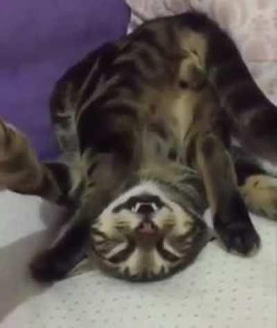 Might need an exorcist on this one