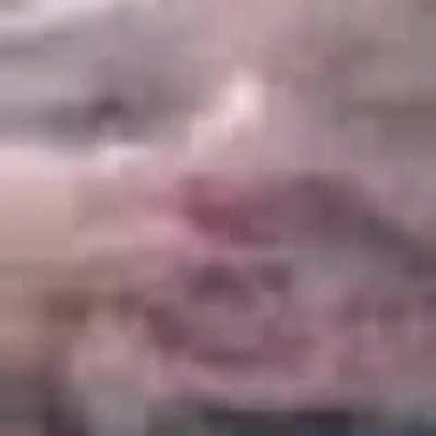 O javali te bloqueou