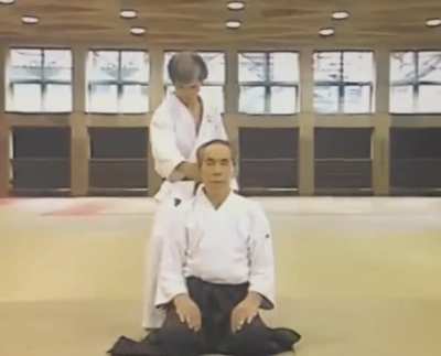 Daito-ryu Aikijujutsu: Throwing an enemy through your EAR with a gentle head nod (whilst sitting)