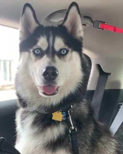 So easily confused.....we normally go straight home from daycare but today I had to stop at the store.