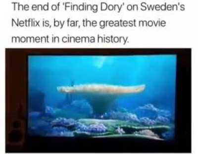 Swedish is not a real fucking language