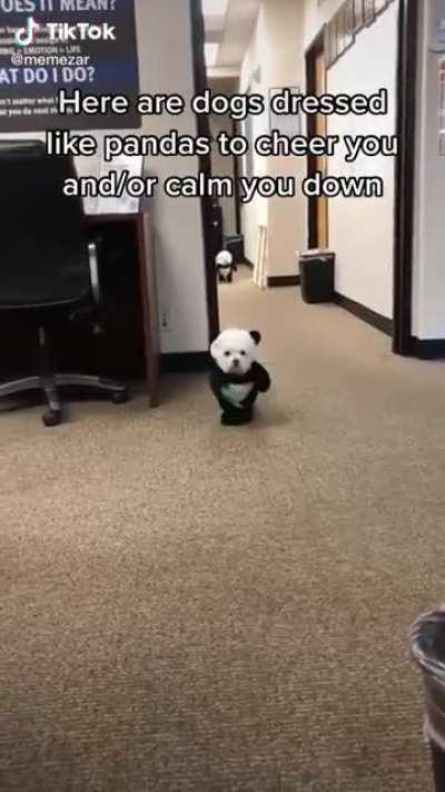 Hope this made you smile as much as me