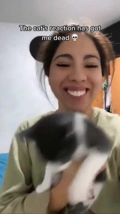 The fear in its face