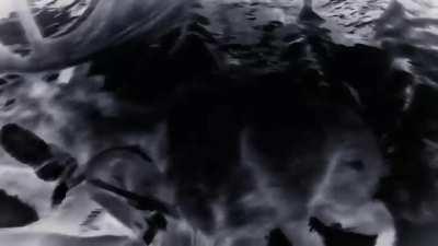 After 1.5 hours of tracking I finally found that horse...