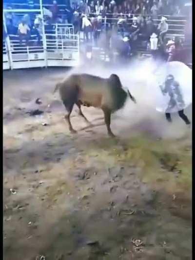 Pero se ve divertido jsjaja