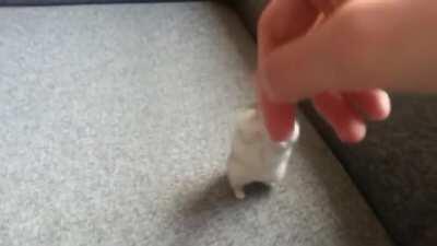 The hand hoops were cool, but when he stood up and danced that was awesome lol