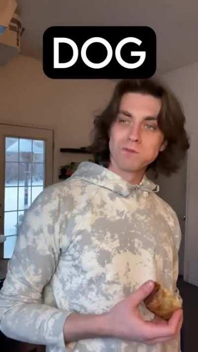 How Humans Domesticated Dogs