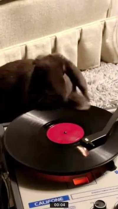 Curtis gettin’ down