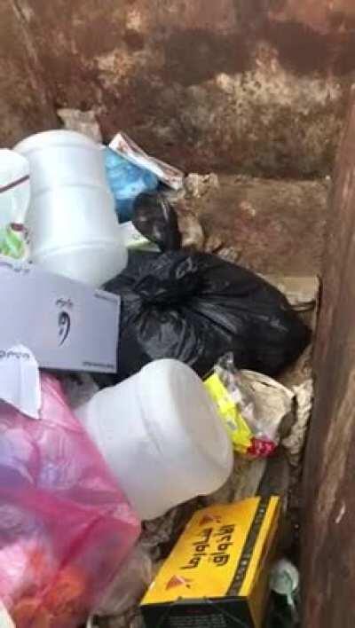 How inhuman and souless do you have to be to do something like this?