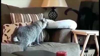 He doesn't even use the beds.