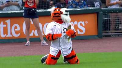 Paws the Tigers mascot tries to befriend Randy Arozarena with a Pike Place Salmon Toss only to be ambushed by Julio Rodriguez who holds Paws in place while Randy smacks him with a fish