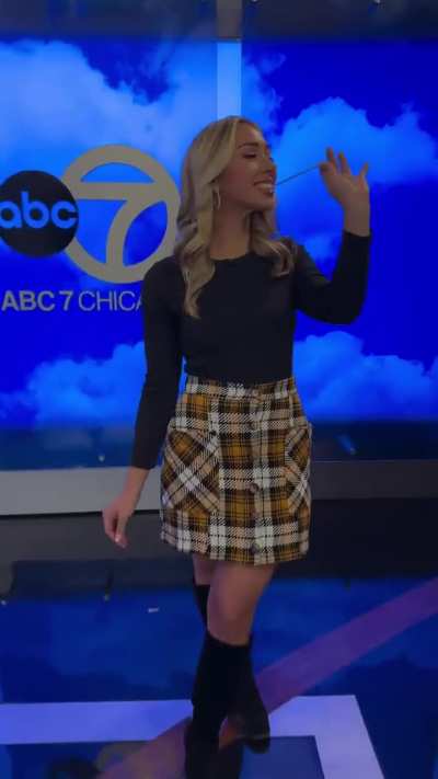 Stephanie Wade ABC7 Chicago