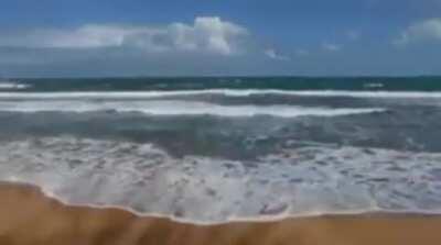 Alo edgy Cristian 2014