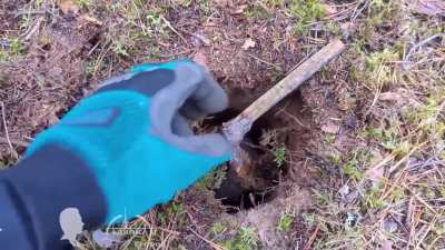 Подземных лесных пчел убийц не существует, они не могут навредить тебе, но...