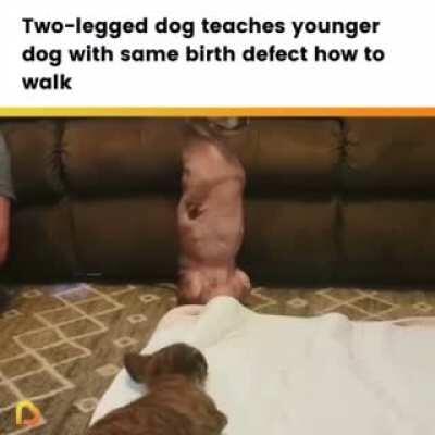 This is so wholesome 🥰