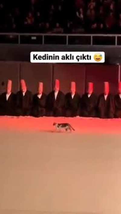 Worship me like the God I actually am!