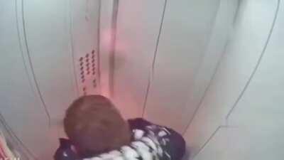 Curiosity almost killed the cat...