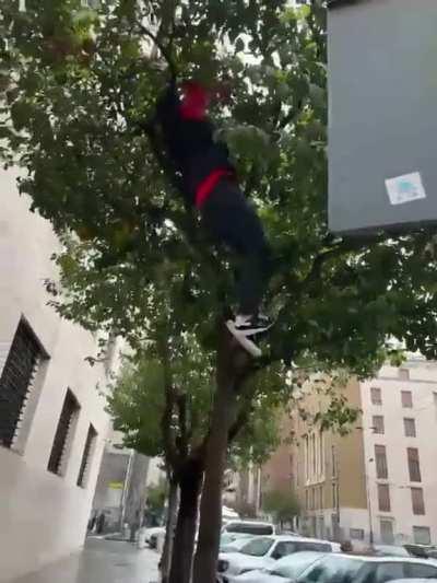 Merab is a crazy, wild dude