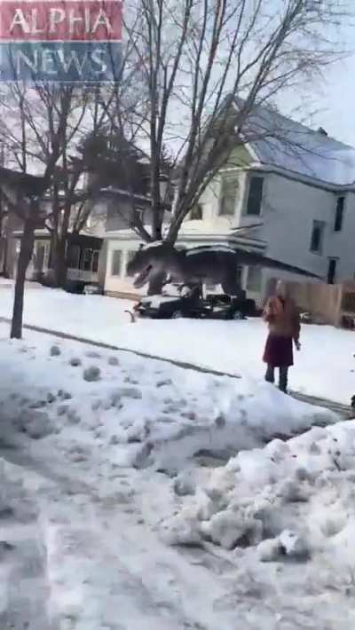 ICE Shooting POV From Agent