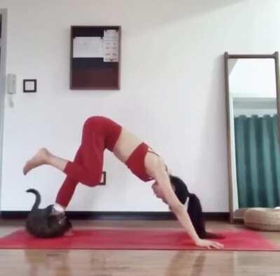 *hunting mode engaged*