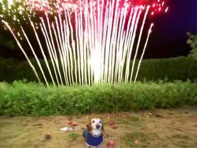 Happy NYE 🎉🥳🍎