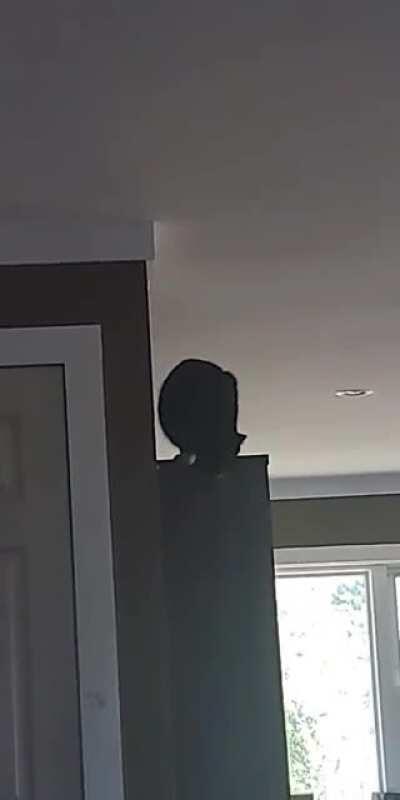 Still not sure what he was doing.