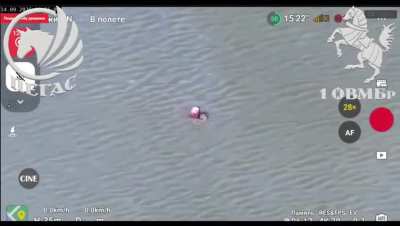 A russian soldier fled into the water to evade several Ukrainian drones from Petas group, 1st Heavy Mech. Brigade. September 2025