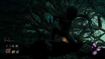 My sister helped me get a cinematic mori