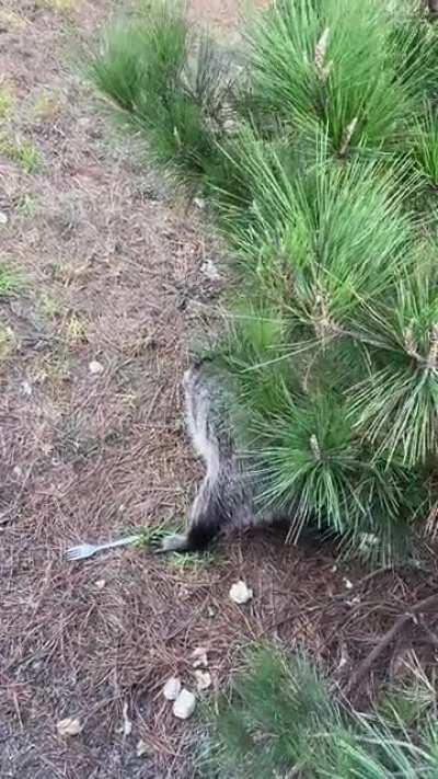 A gift for my little friend in these difficult times🥺