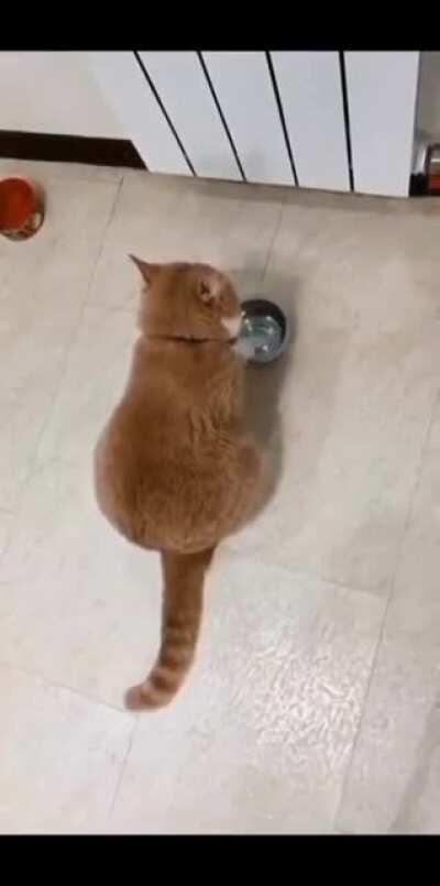 晶哥上访讨饭视频流出