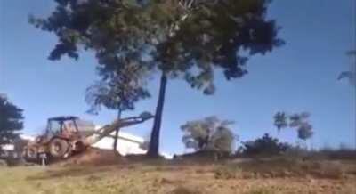 In Mother Russia, you don’t push trees down. Trees push you down