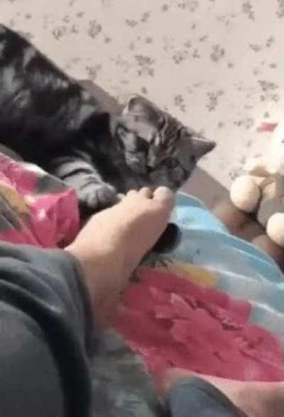 If I Could Turn Back Time