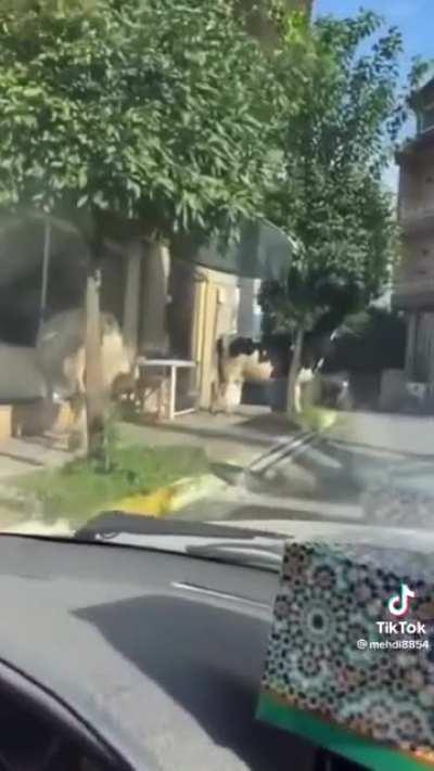 A pause between doom scrolling.