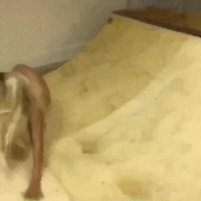 HMC so I can drop in