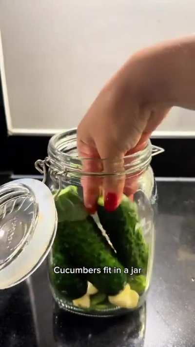 Salted Pickles | Nataliia V 🥒