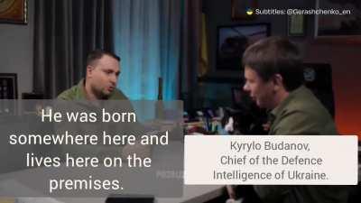 Kyrylo Budanov, head of Chief Intelligence Directorate, showed Gunther the cat - he lives in the Directorate and probably knows more state secrets than anyone else